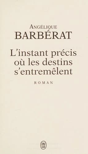 L'instant précis où les destins s'entremêlent : roman
