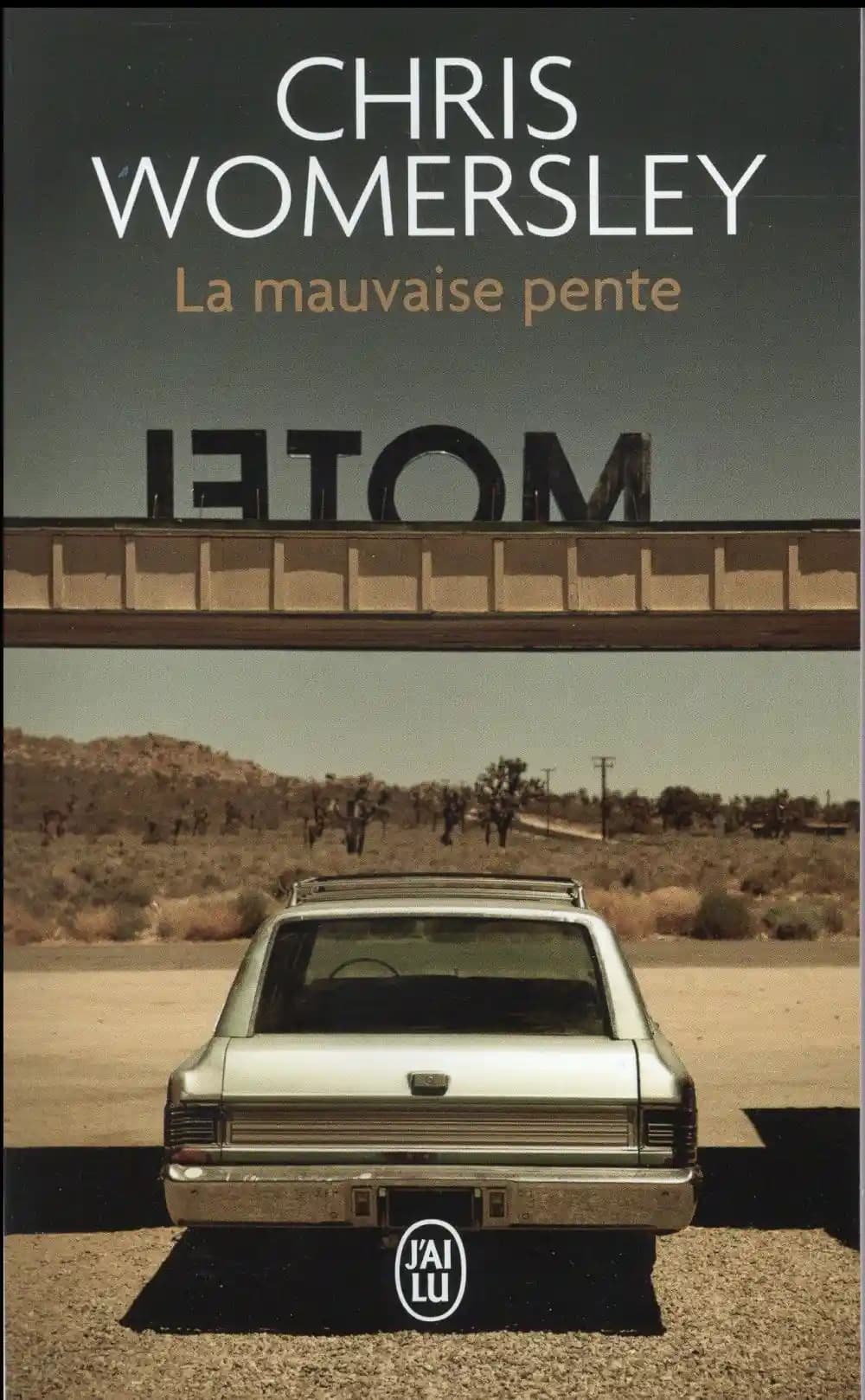 La mauvaise pente : roman