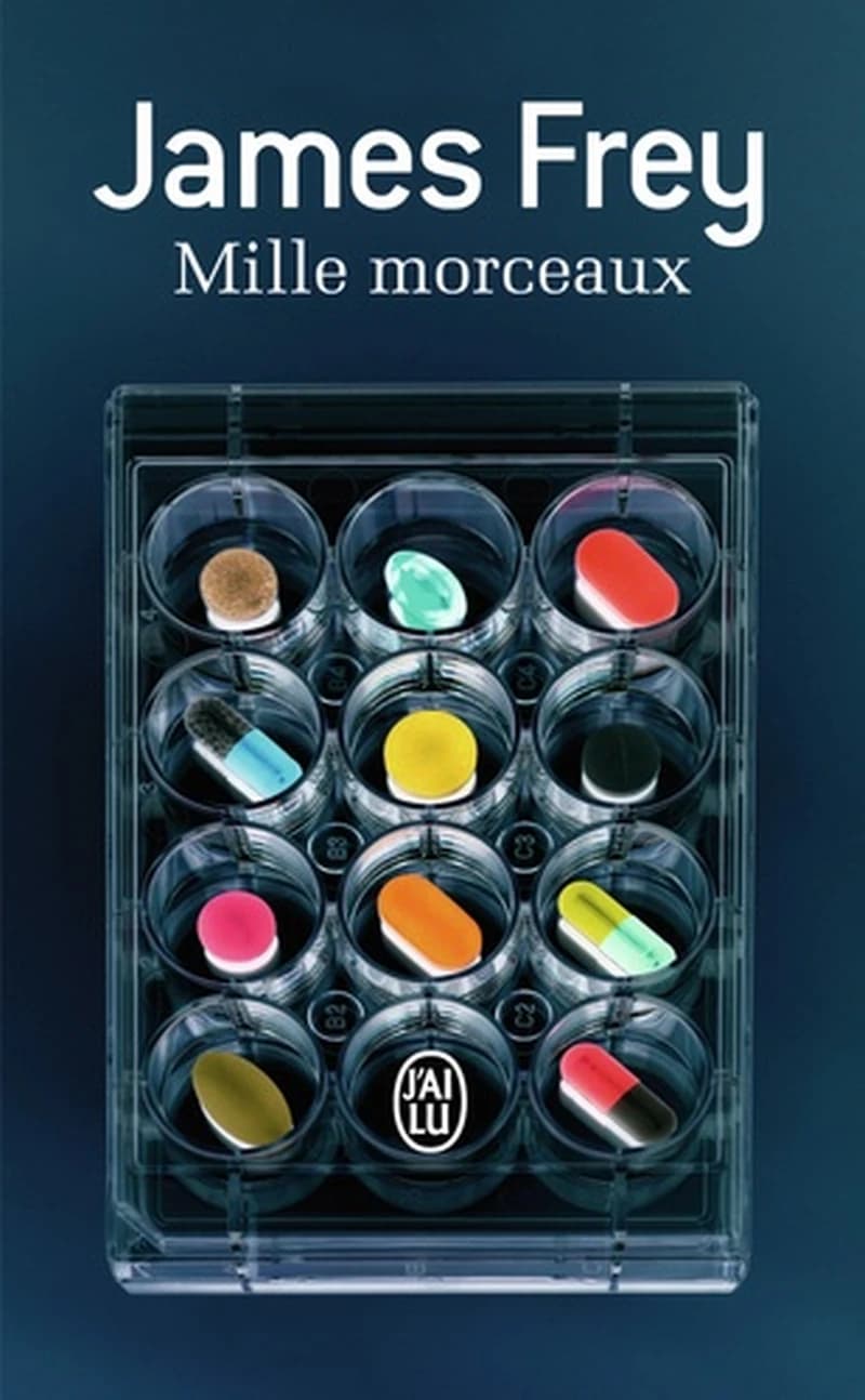 Mille morceaux : roman