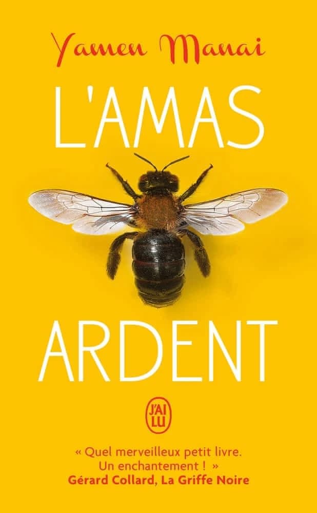 L'amas ardent : roman
