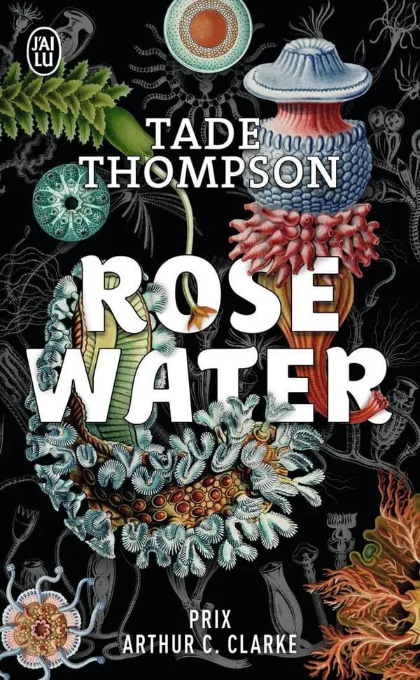 Rosewater : roman