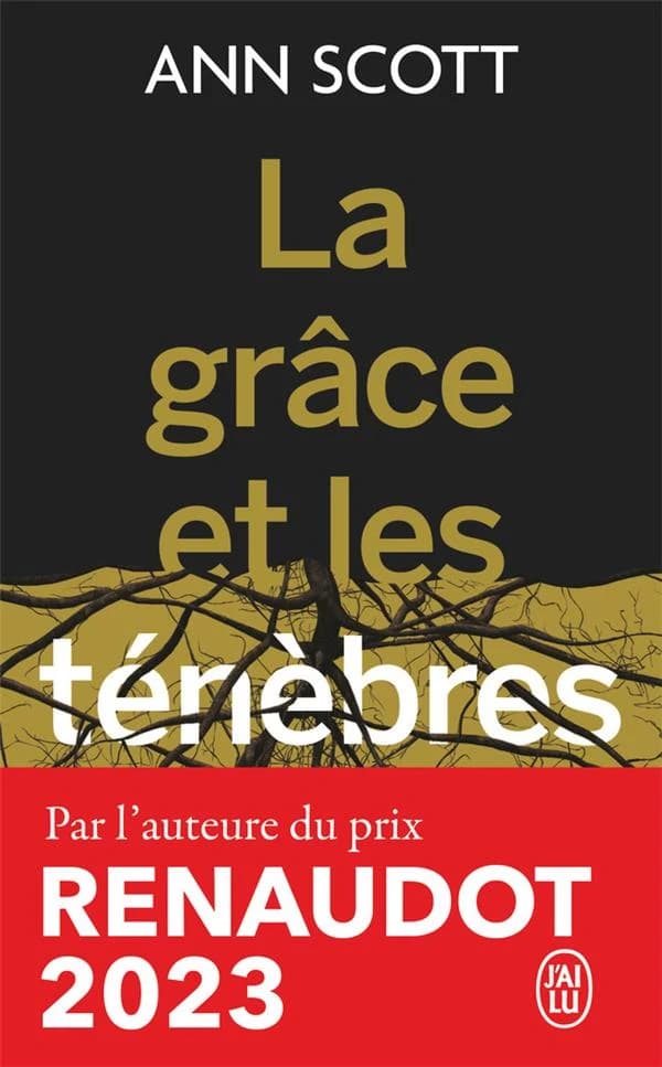 La grâce et les ténèbres : roman
