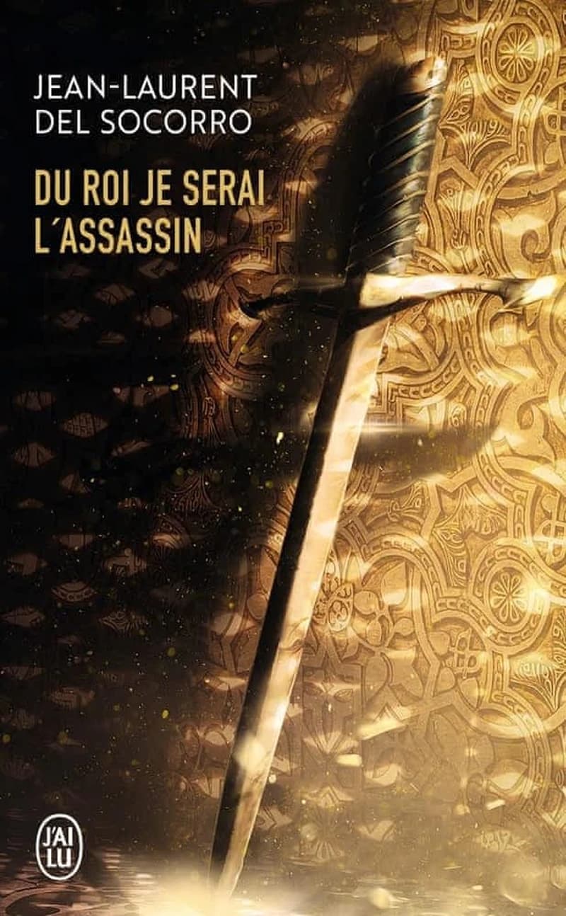 Du roi je serai l'assassin : roman