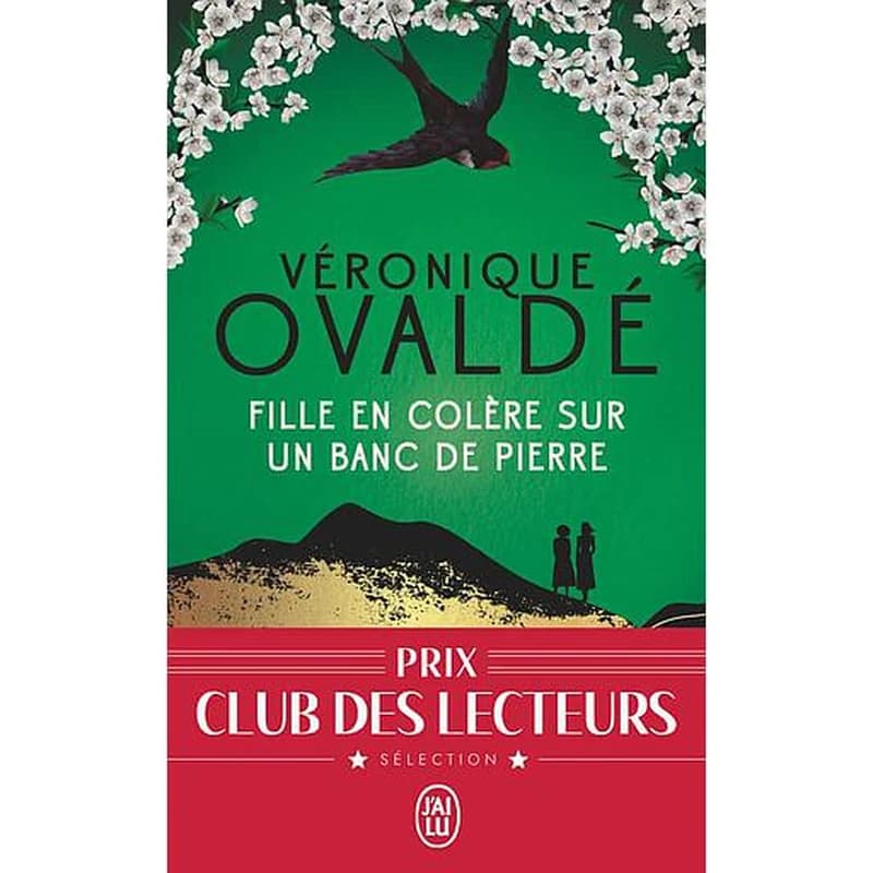 Fille en colère sur un banc de pierre : roman