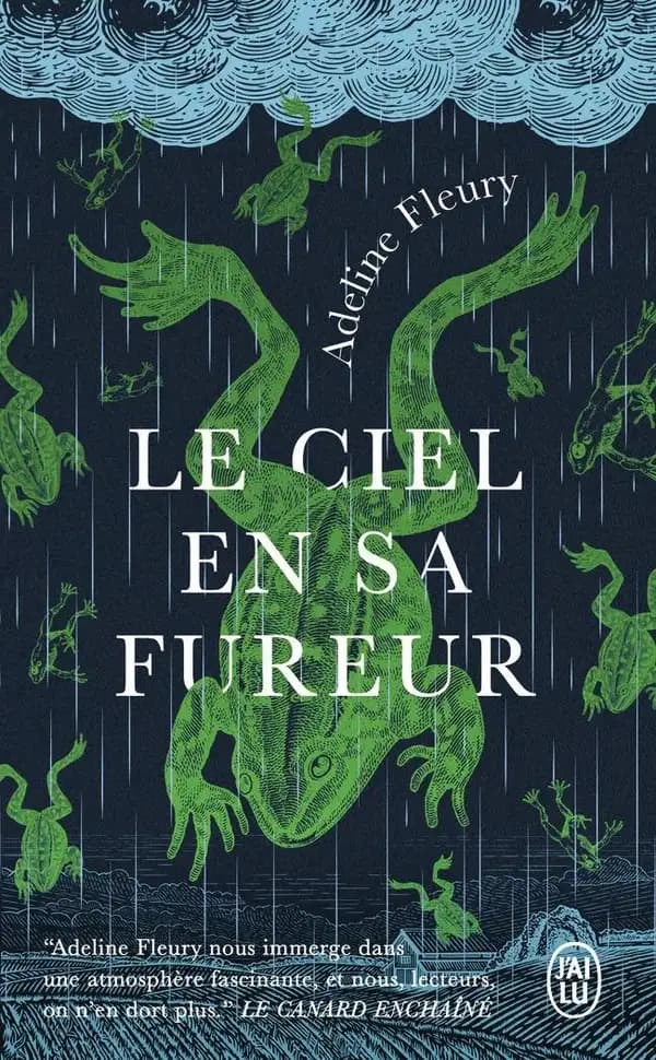 Le ciel en sa fureur : roman