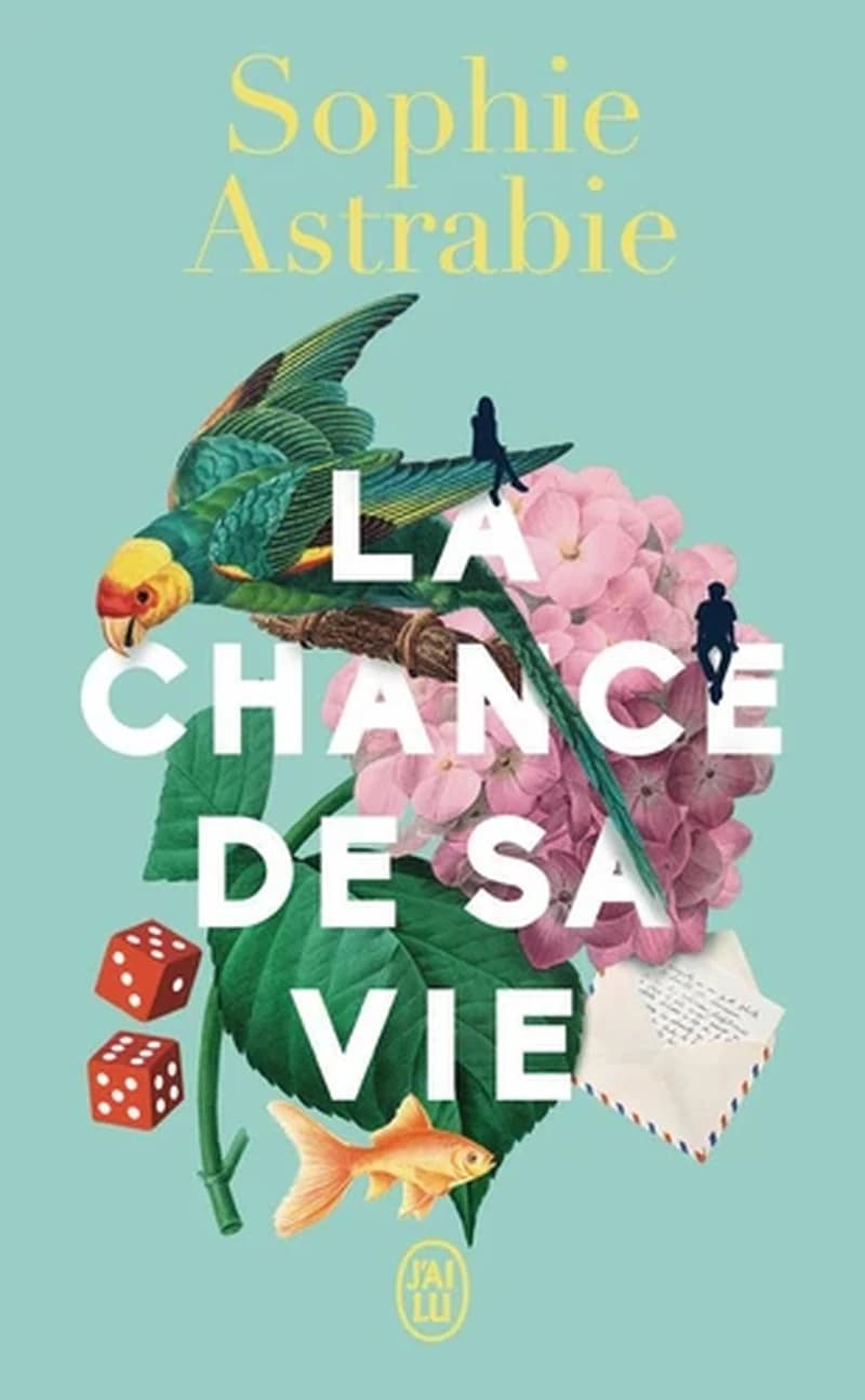 La chance de sa vie : roman