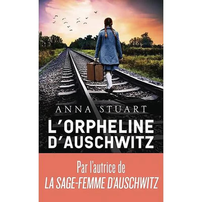 L'orpheline d'Auschwitz : roman