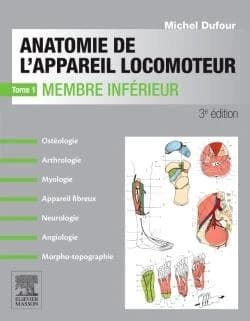 Anatomie de l'appareil locomoteur : [ostéologie, arthrologie, myologie, appareil fibreux, neurologie, angiologie, morpho-topographie]. Tome 1, Membre inférieur (3e éd.) textes et dessins de Michel Dufour,... ; préface du professeur Claude Gillot