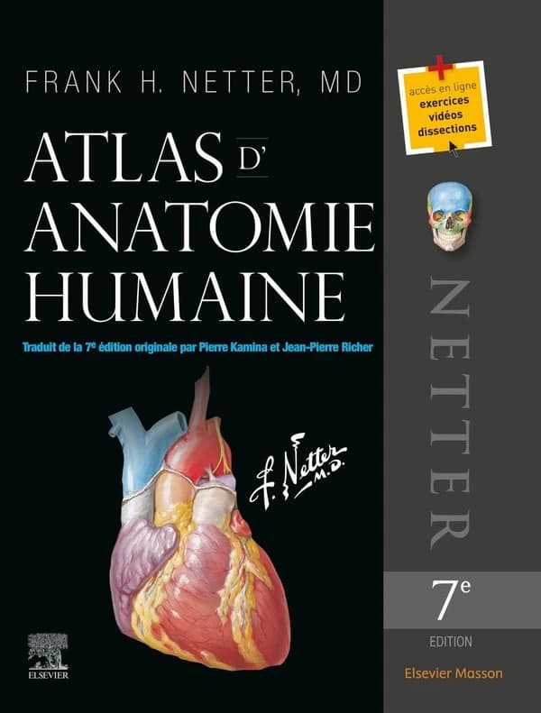 Netter : Atlas d'anatomie humaine