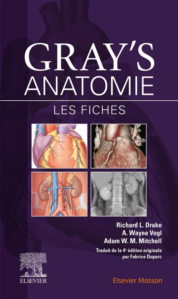 Gray's anatomie : les fiches (3e éd. française traduite de la 4e éd. originale) Richard L. Drake,... A. Wayne Vogl,... Adam W. M. Mitchell,... ; illustrateurs, Richard M. Tibbitts et Paul E. Richardson, Antbits illustrations ; traduction coordonnée par Fa