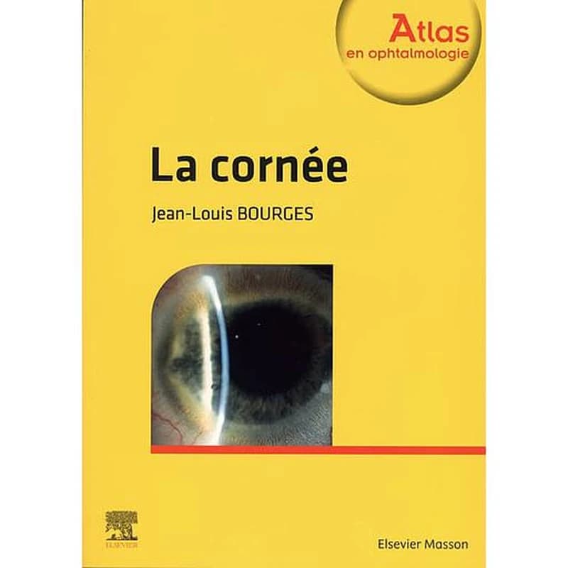 La cornée - Campus