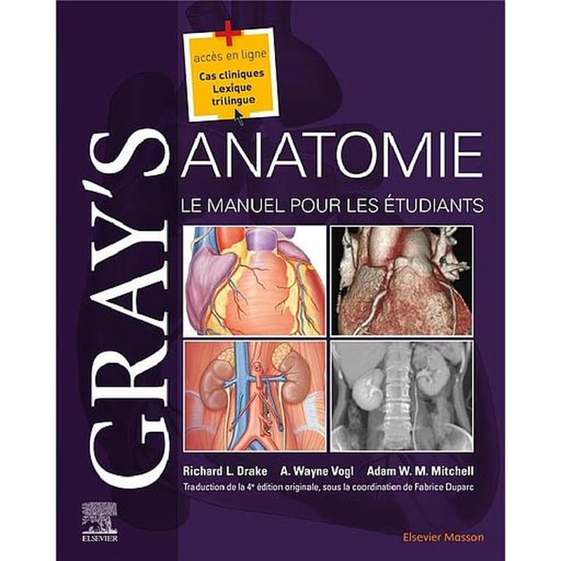 Gray's anatomie