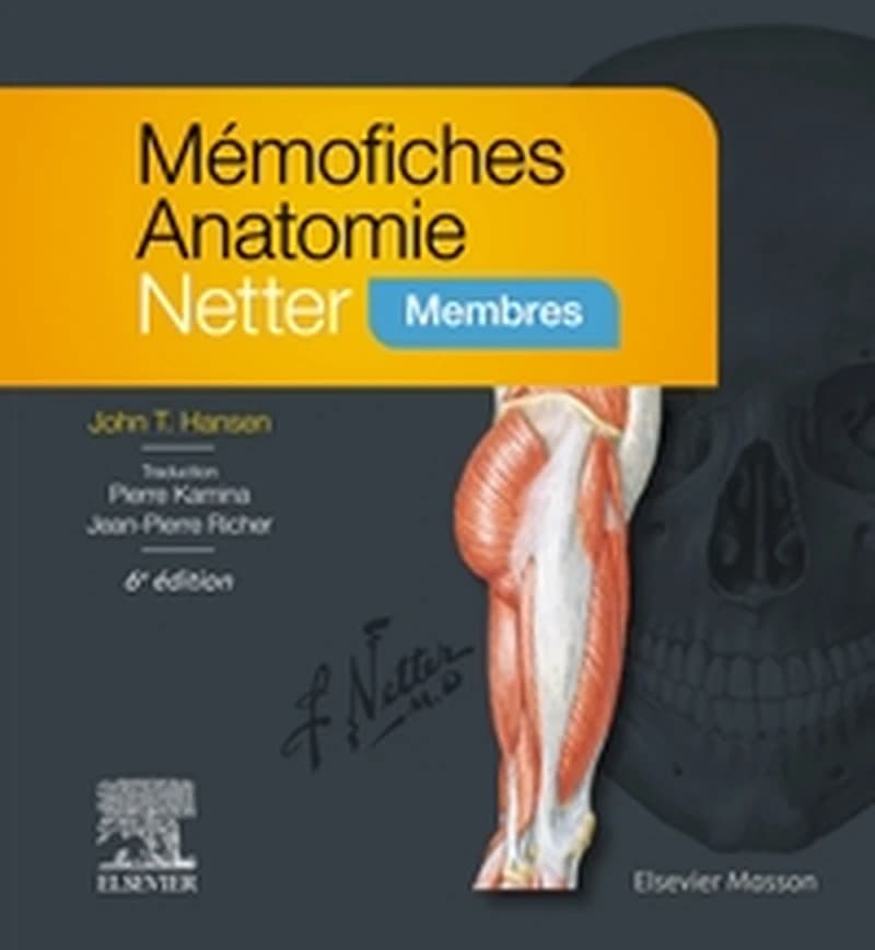 Mémofiches anatomie Netter. Membres (6e éd. actualisée) John T. Hansen,... ; traduction, Pierre Kamina et Jean-Pierre Richer