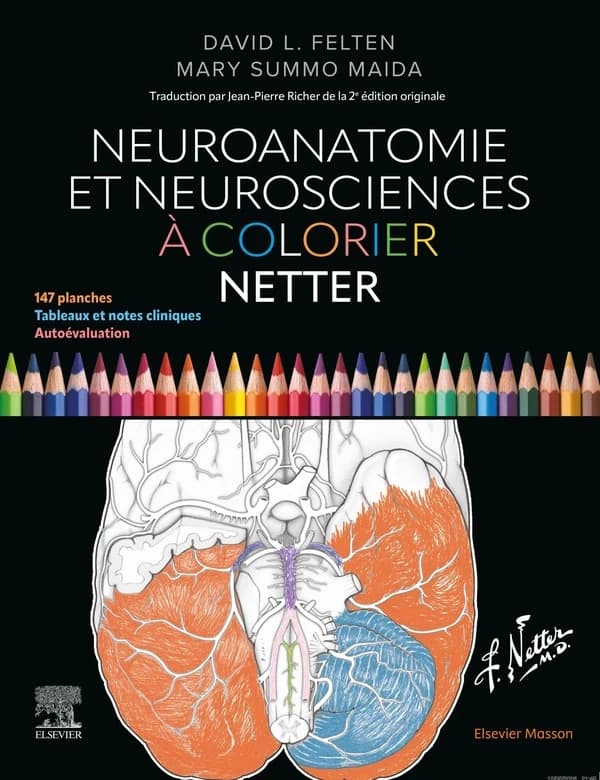 Neuroanatomie et neurosciences à colorier Netter
