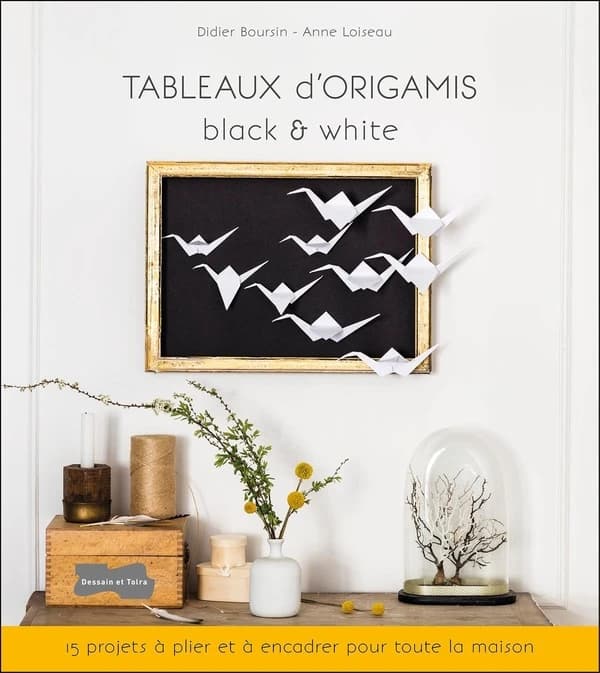 Tableaux d'origamis : black & white : 15 projets à plier et à encadrer pour toute la maison