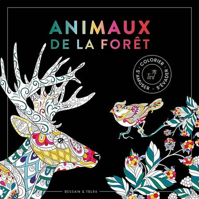 Animaux de la forêt : colorier, s'amuser, s'evader : [Album à colorier]