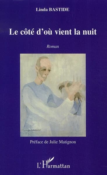 Le côté d'où vient la nuit : roman