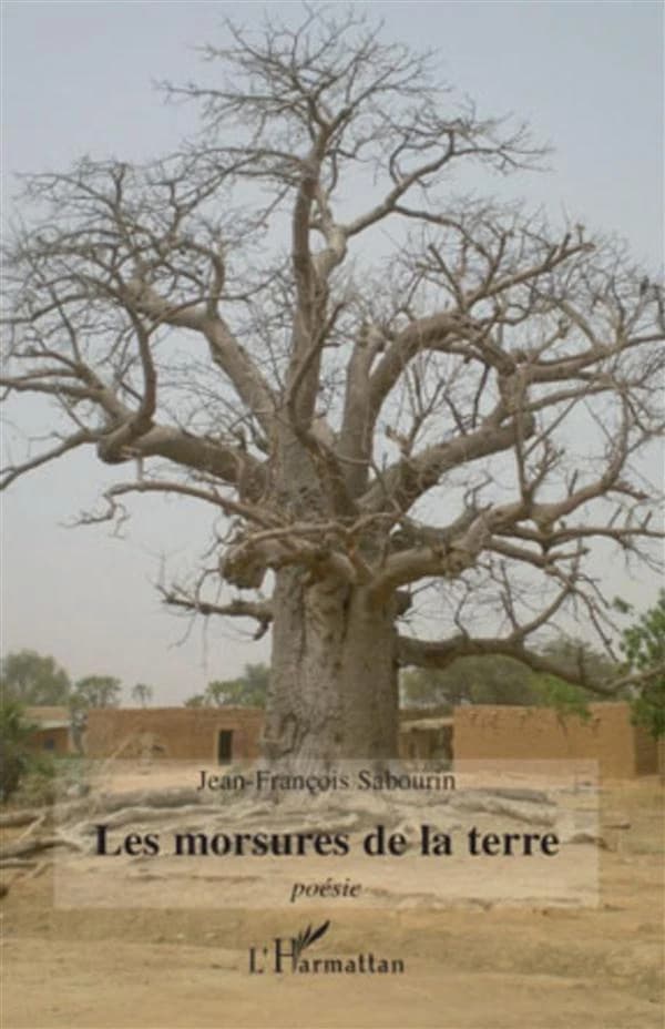 Les morsures de la Terre : poésie