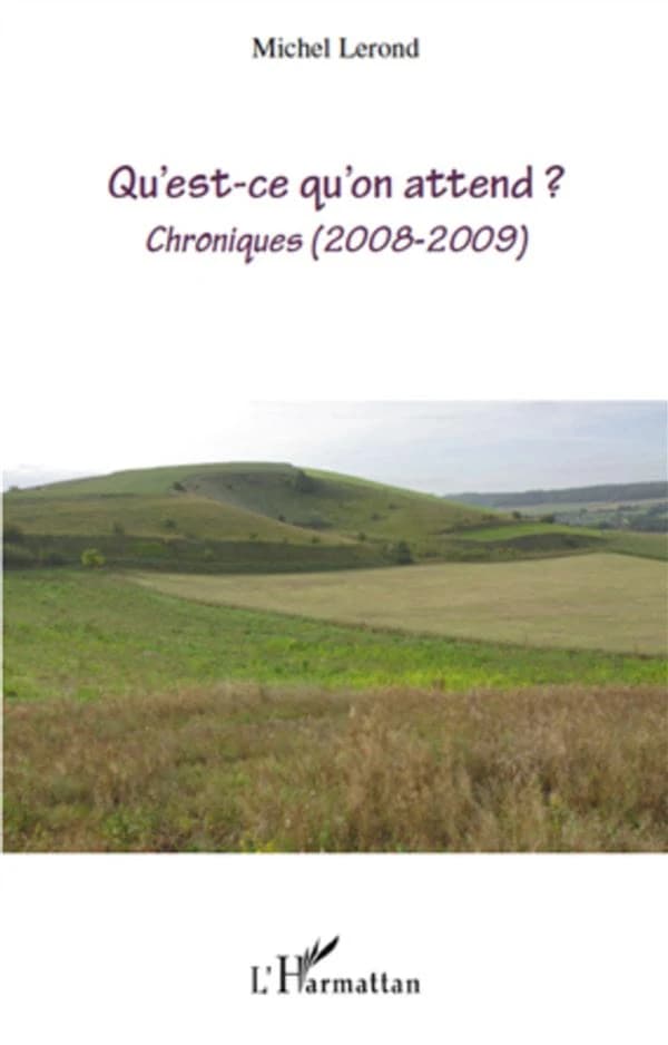 Qu'est ce qu'on attend ? : chroniques, 2008-2009