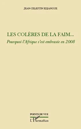 Les colères de la faim : pourquoi l'Afrique s'est embrasée en 2008