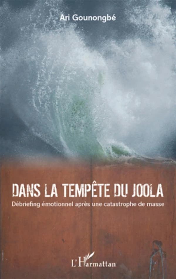 Dans la tempête du Joola : débriefing émotionnel après une catastrophe de masse : récit