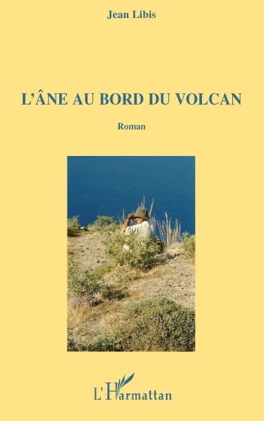 L'âne au bord du volcan : roman
