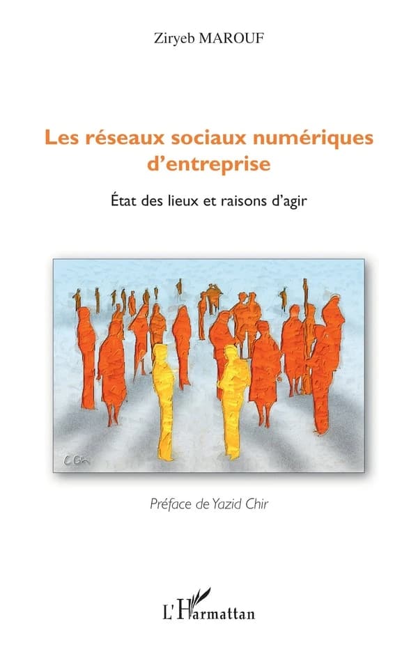 Les réseaux sociaux numériques d'entreprise : état des lieux et raisons d'agir
