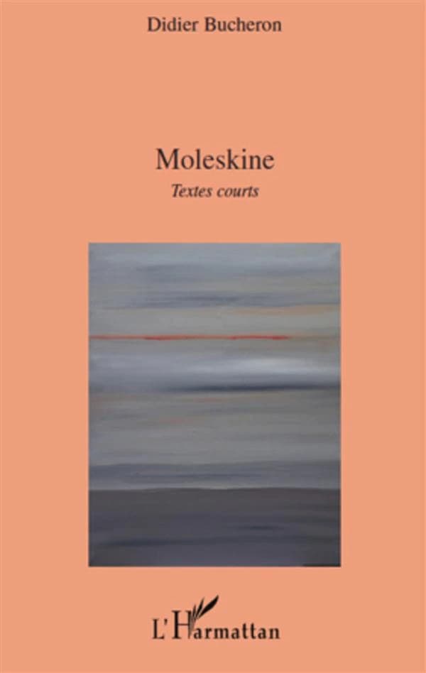 Moleskine : textes courts