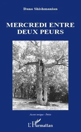 Mercredi entre deux peurs : poèmes