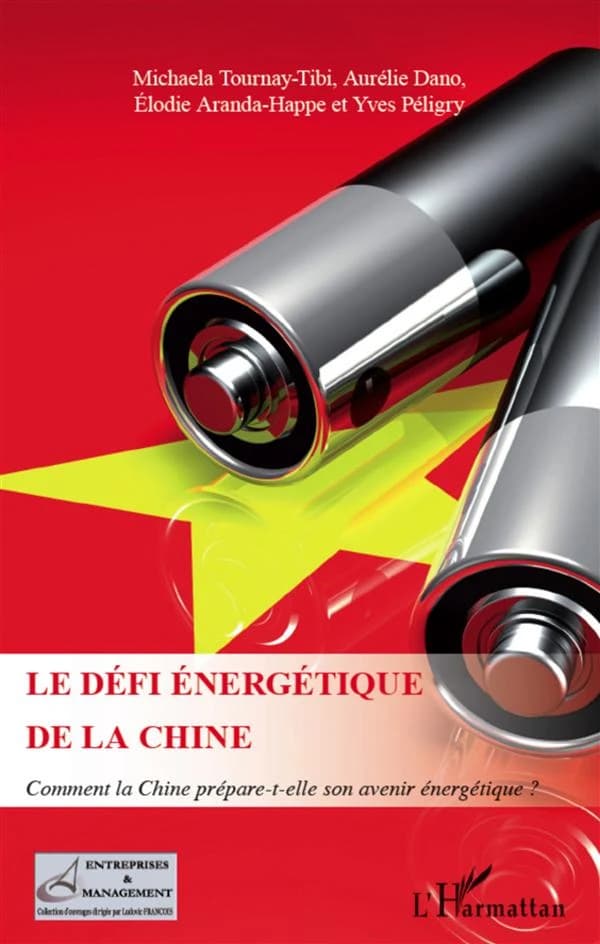 Le défi énergétique de la Chine : comment la Chine prépare-t-elle son avenir énergétique ?