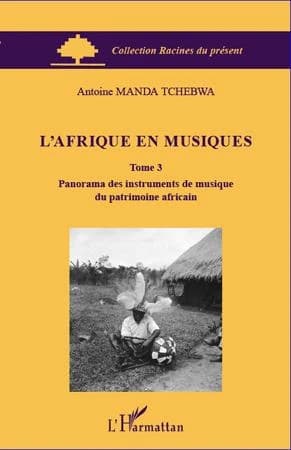 Panorama des instruments de musique du patrimoine africain