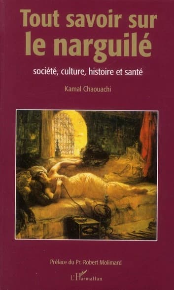 Tout savoir sur le narguilé : société, culture, histoire et santé