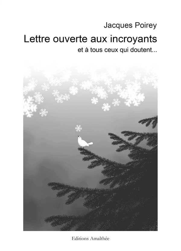 Lettre ouverte aux incroyants : essai