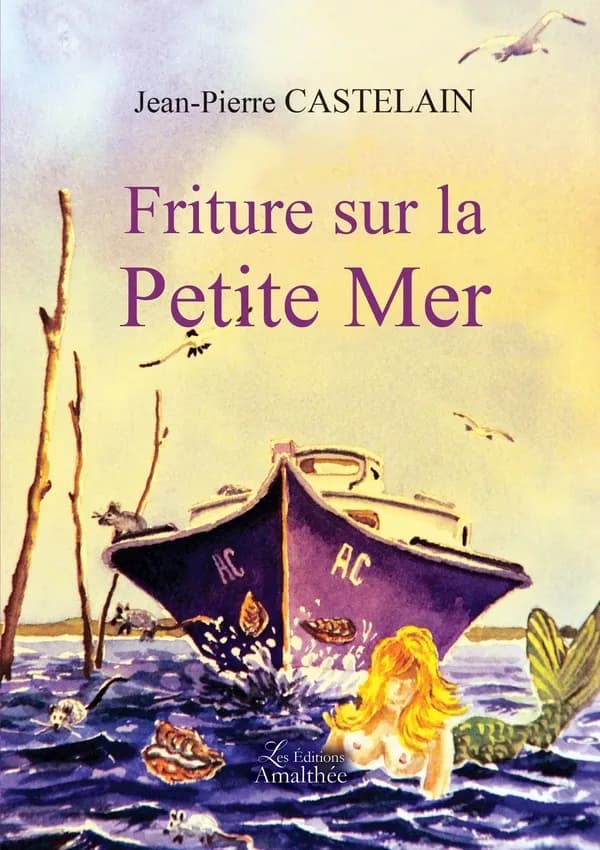Friture sur la petite mer : roman