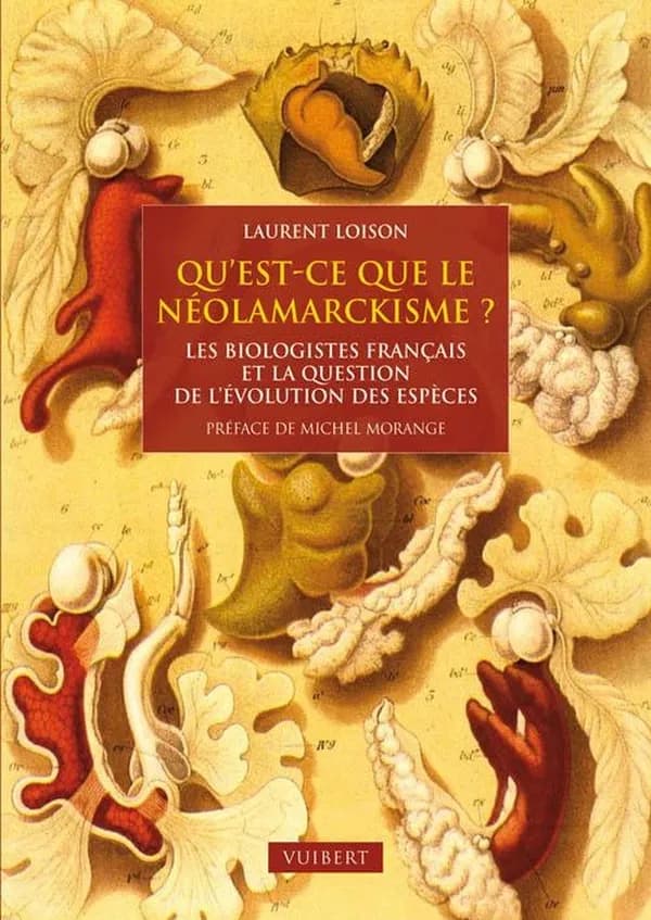 Qu'est-ce que le néolamarckisme ? : les biologistes français et la question de l'évolution des espèces, 1870-1940