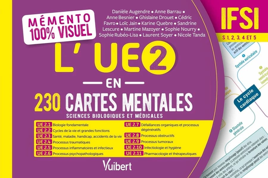 L'UE 2 en 230 cartes mentales