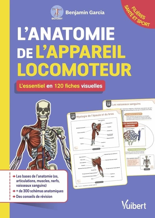 L'anatomie de l'appareil locomoteur