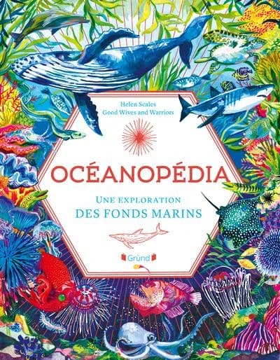 Oceanopedia : une exploration des fonds marins