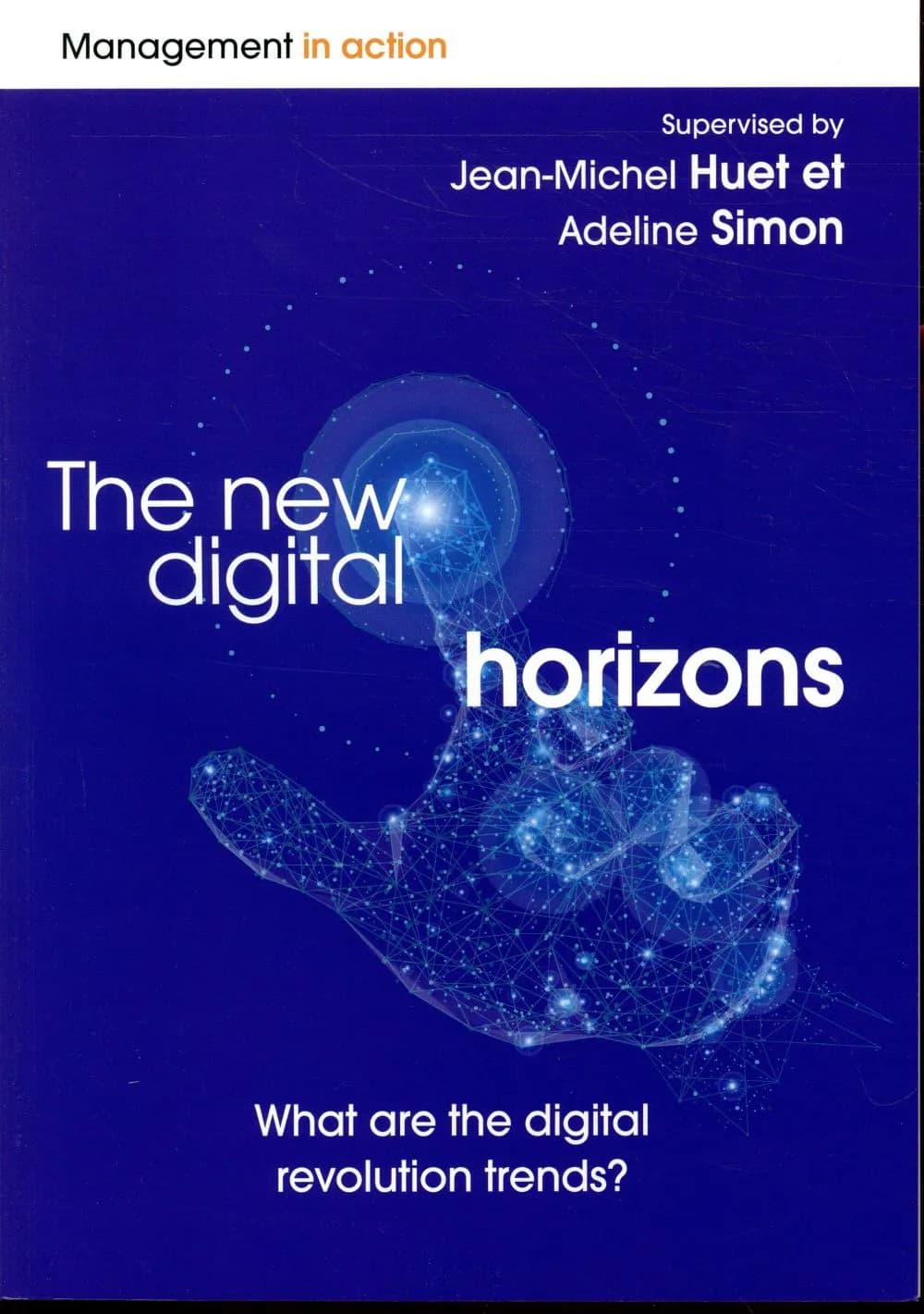 The new digital horizons : what are the digital revolution trends ?