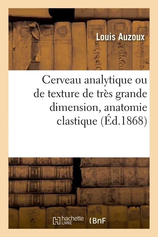 Cerveau analytique ou de texture de très grande dimension, anatomie clastique