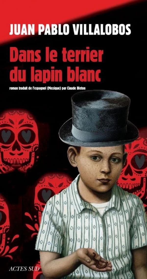 Dans le terrier du lapin blanc : roman