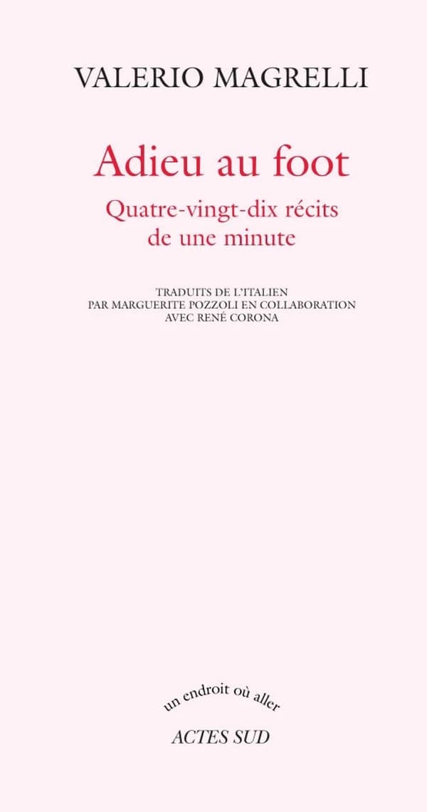 Adieu au foot : quatre-vingt-dix récits de une minute