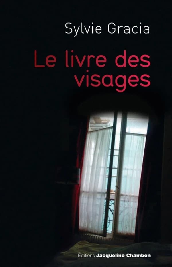 Le livres des visages : journal facebookien, 2010-2011