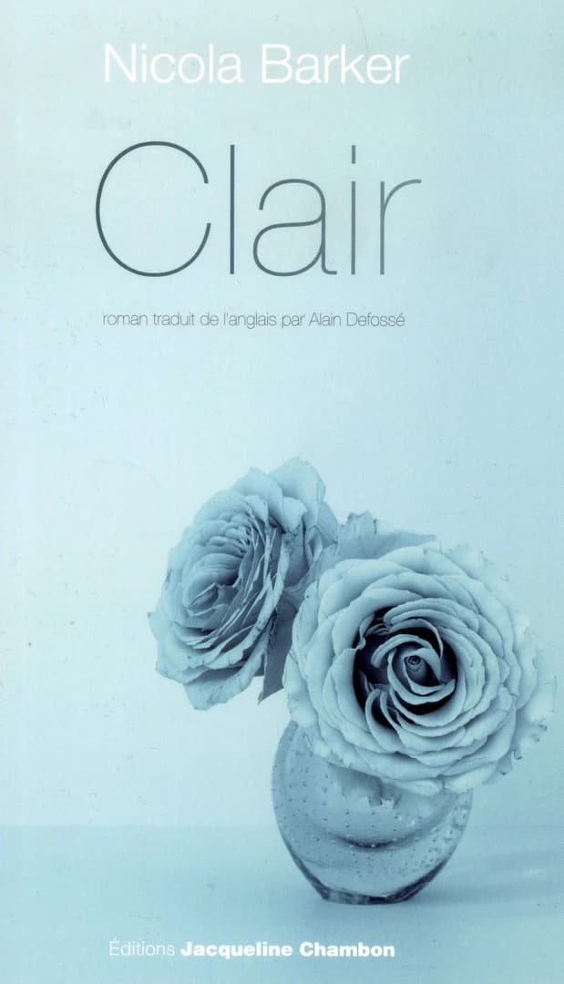 Clair : un roman transparent