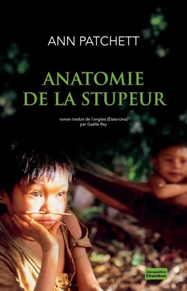 Anatomie de la stupeur : roman
