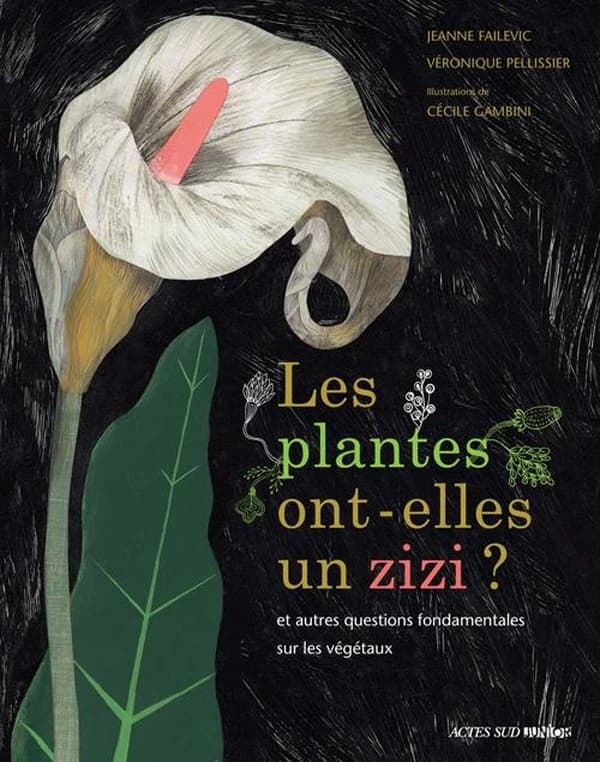 Les plantes ont-elles un zizi ? : et autres questions fondamentales sur les végétaux