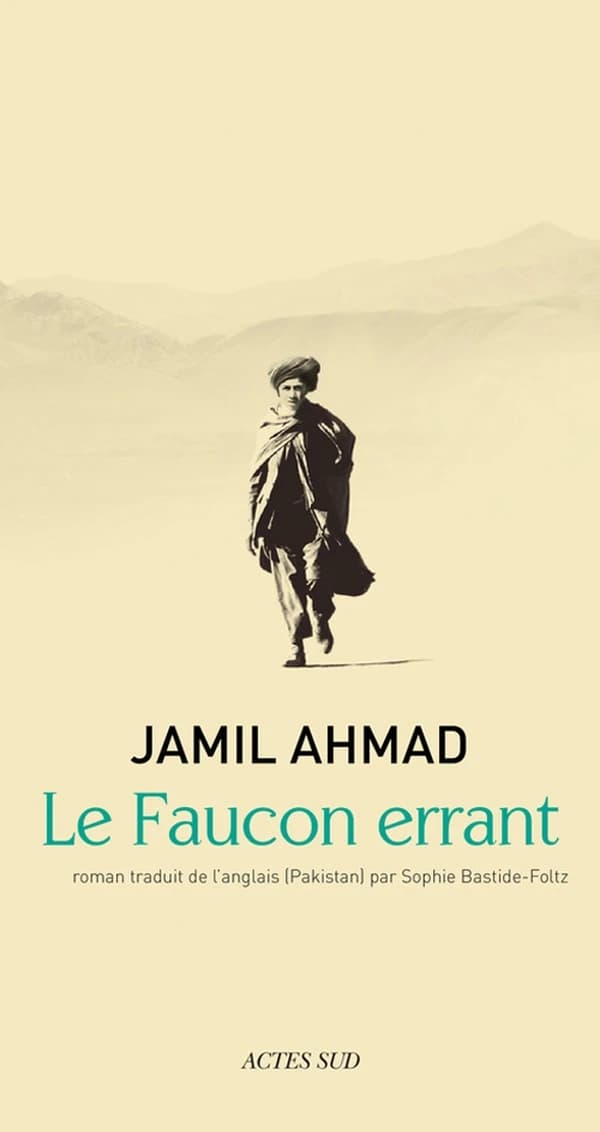 Le faucon errant : roman