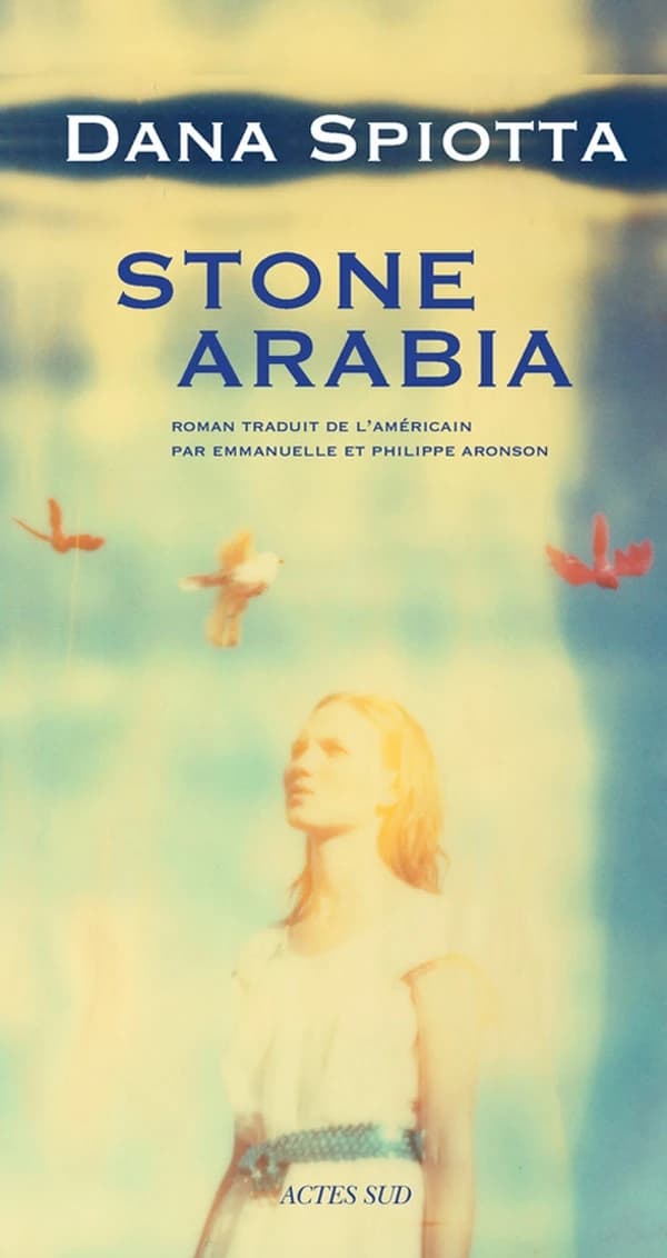 Stone Arabia : roman