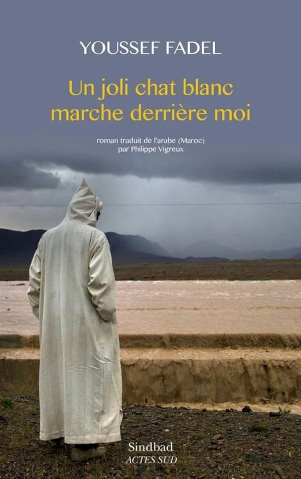 Un joli chat blanc marche derrière moi : roman