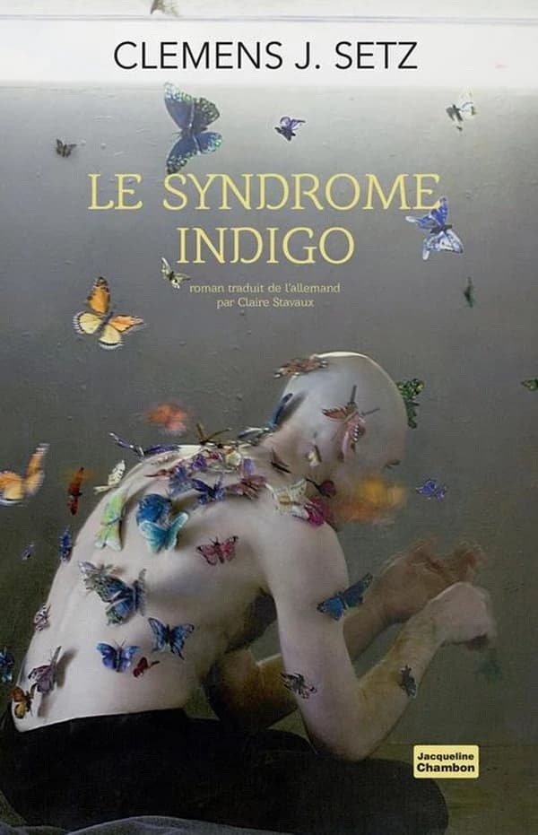 Le syndrome indigo : roman